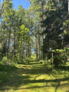 Viinapeedu Farm Holiday Home, Kõrgessaare, Hiiumaa