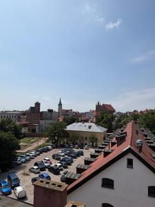 Flatiron Jacuzzi Apartment Old Town Toruń