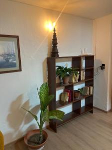 Apartment in the best area of Chapalita