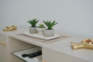 Apartment Luana