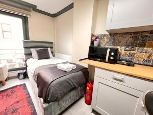 Central Comfort Bright Studio