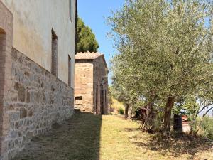 Nuovissimo Loft panoramico con giardino a Montalcino