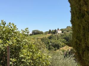 Nuovissimo Loft panoramico con giardino a Montalcino