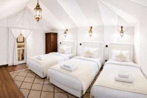 Desert Luxury Camp