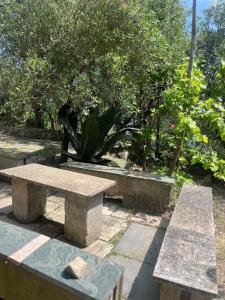 The Roses House, Fondo San Vito