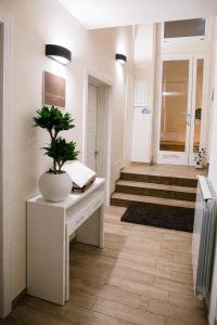 le suite del dormiglione