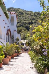Hotel LApprodo