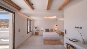 The Lofts Paros Executive Suites