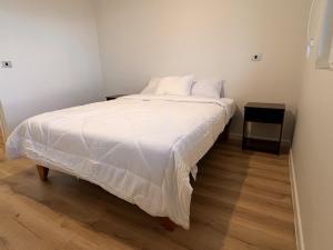 Apartamento completo Osorno sector oriente