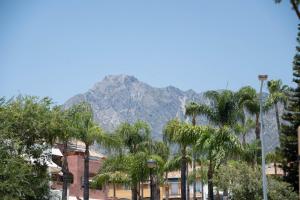 Stunning Marbella Apartment with Sea Views