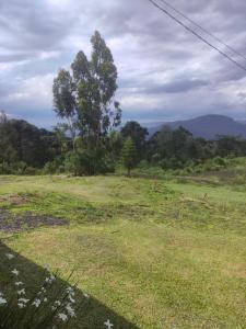 Pousada caminho das nuvens