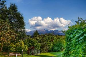 Domek Oaza Tatry I