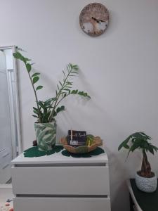 Studio Forest