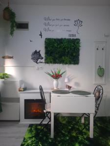 Studio Forest