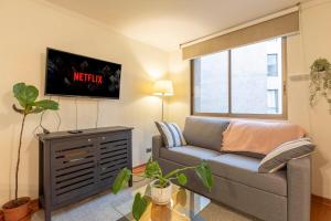 Departamento Peter, gran ubicacion Lastarria