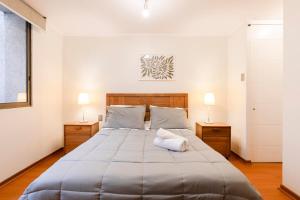 Departamento Peter, gran ubicacion Lastarria