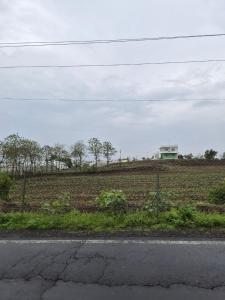 Serene Farmhouse