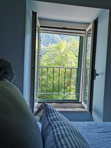 B&B Il Merlino