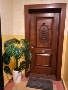 appartement central 26