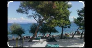 Apartman REA