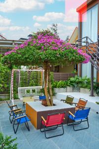 Rừng Vàng Homestay