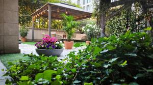 Acca Palace - AA Hotels