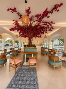 Signature Hotels