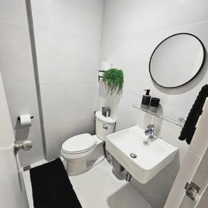 Blanc Suite