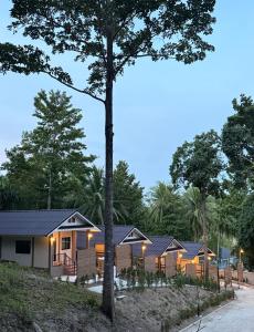 Pnpp Green hill