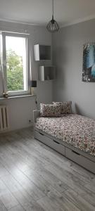 Apartament w centrum