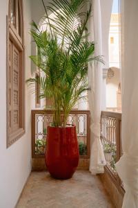 Riad Lucia