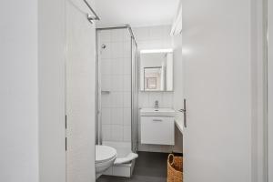 Premium studio in city center - Color 3