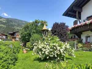 Apartment Tyrol-2 by Interhome