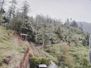 shobhla