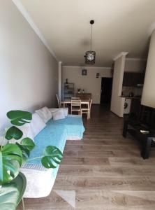Central Park Apartment