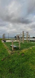 Room near Rotterdam offered by Maashouse
