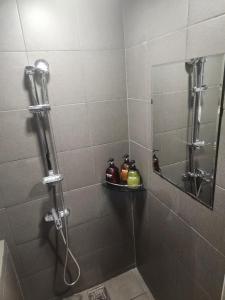 check n out hostel