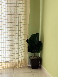 Gelato City Center Apartment