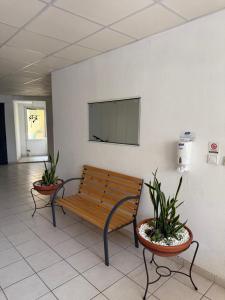 Gelato City Center Apartment