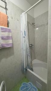 Apartment Lamante