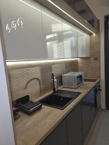 Friendly Family Luxury Apartment