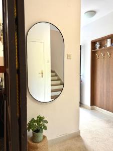 Guest house Kamelija