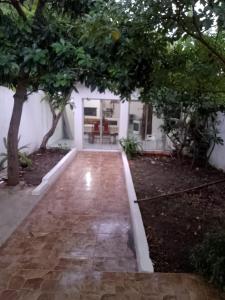Artigas DL