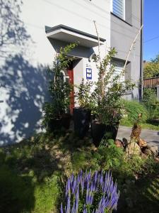 Studio SeaSunflowers Orowo Vintage Guest House - Secret Garden near Sopot