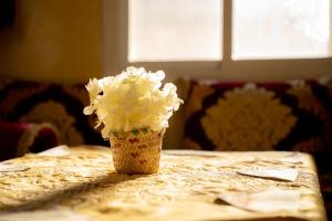 old city apartment + free couscous on Friday