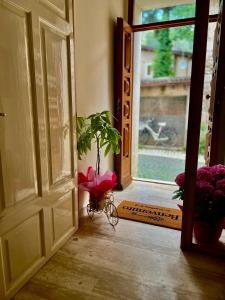 B&B Animali Selvaggi