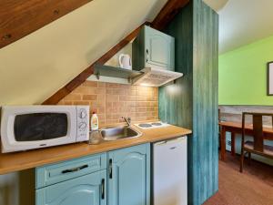 Apartment Roky - Dolní náměstí-4 by Interhome