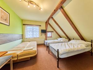 Apartment Roky - Dolní náměstí-4 by Interhome