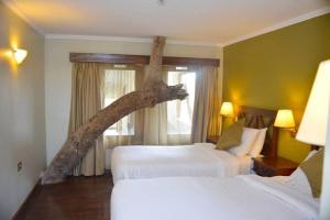The Treetops Lodge