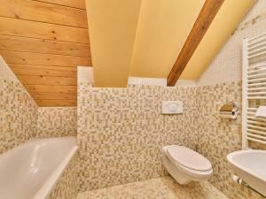 Apartment Roky - Dolní náměstí-3 by Interhome